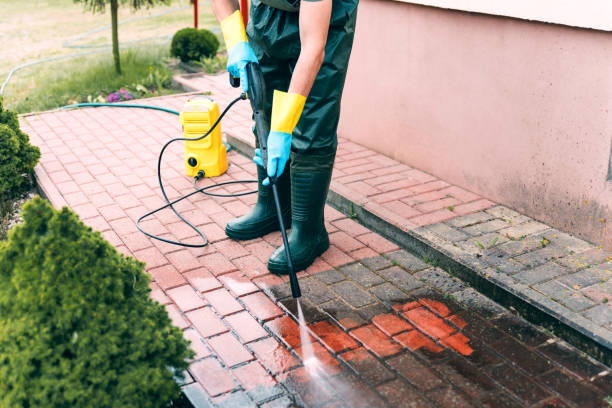 Best Soft Washing for Delicate Surfaces in Brookside, AL